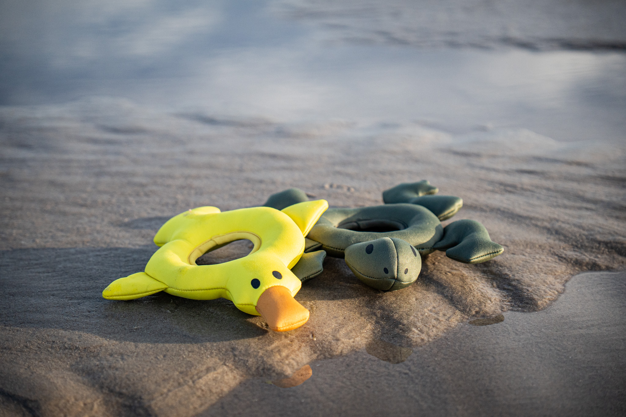 Rukka Pets Schwimmspielzeug Frosch